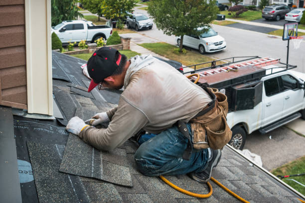 Professional Roof Leak Repair technician working in Hills, MN